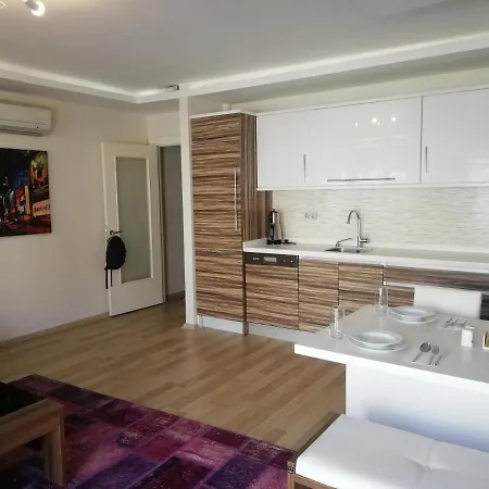 Sehir Merkezinde 1+1 Lueks Daire 公寓 *