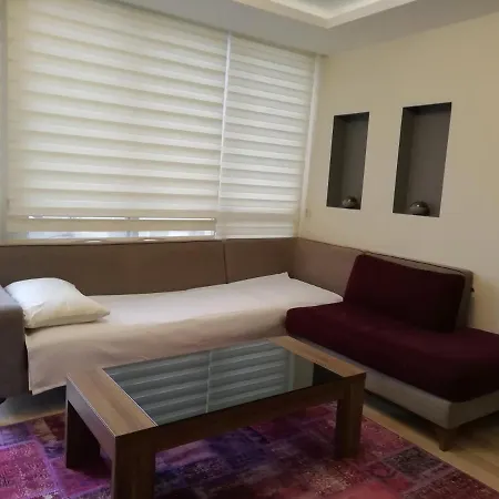 Sehir Merkezinde 1+1 Lueks Daire 库萨达斯